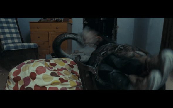 Harry Potter and the Deathly Hallows Part 1 - 851