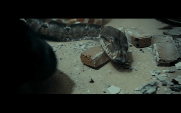 Harry Potter and the Deathly Hallows Part 1 - 851a