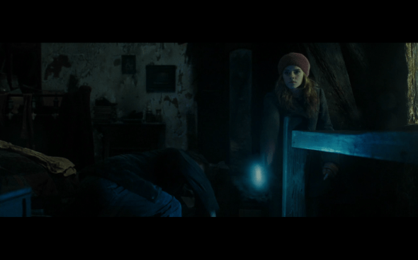 Harry Potter and the Deathly Hallows Part 1 - 853a