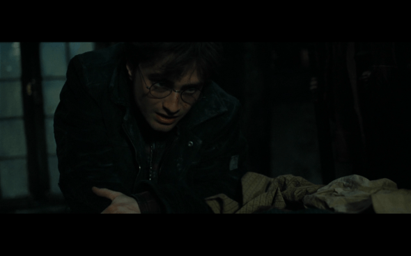 Harry Potter and the Deathly Hallows Part 1 - 855a