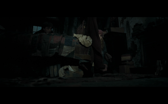 Harry Potter and the Deathly Hallows Part 1 - 857