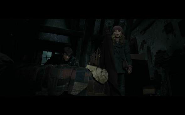 Harry Potter and the Deathly Hallows Part 1 - 859