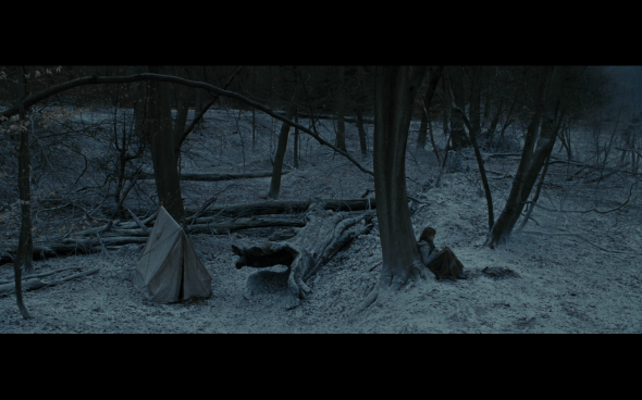 Harry Potter and the Deathly Hallows Part 1 - 867