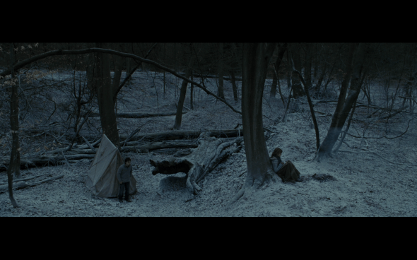 Harry Potter and the Deathly Hallows Part 1 - 868