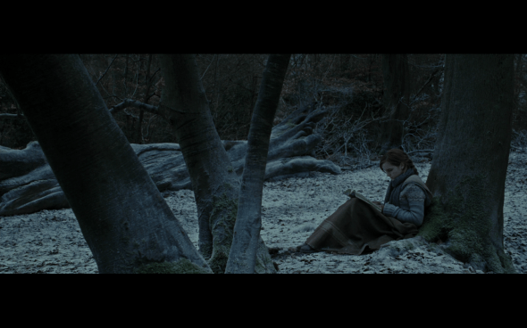 Harry Potter and the Deathly Hallows Part 1 - 869