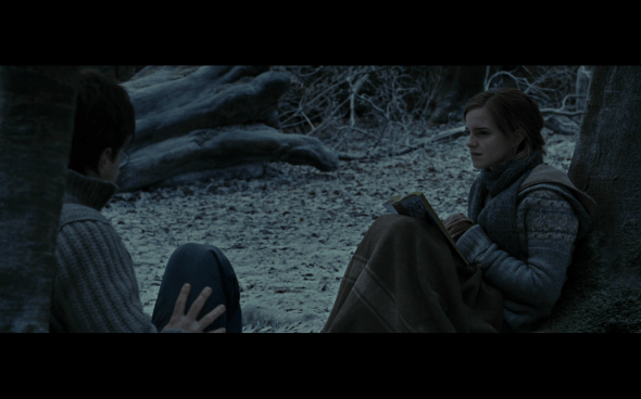 Harry Potter and the Deathly Hallows Part 1 - 870