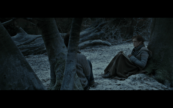 Harry Potter and the Deathly Hallows Part 1 - 873