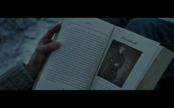 Harry Potter and the Deathly Hallows Part 1 - 874