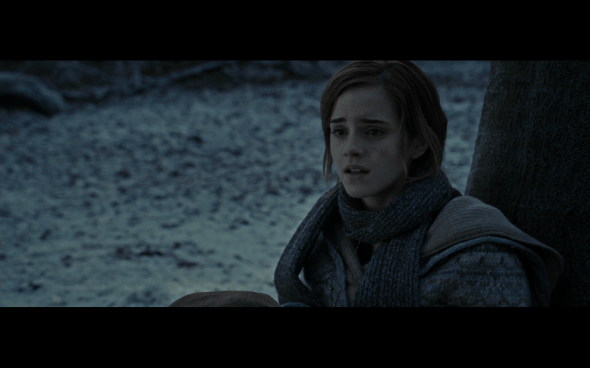 Harry Potter and the Deathly Hallows Part 1 - 875