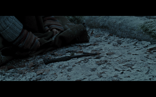 Harry Potter and the Deathly Hallows Part 1 - 876