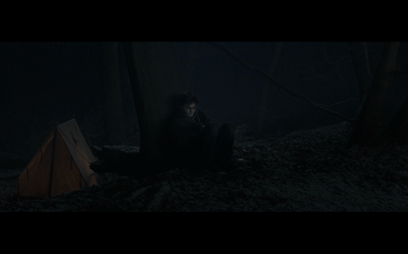 Harry Potter and the Deathly Hallows Part 1 - 878