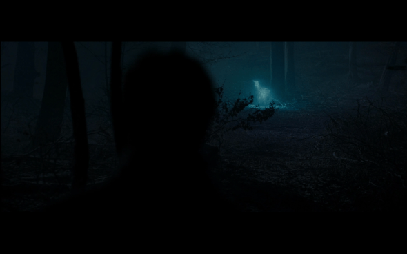 Harry Potter and the Deathly Hallows Part 1 - 882