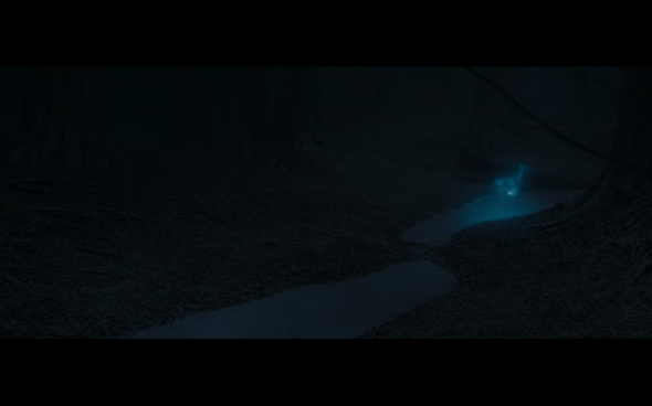 Harry Potter and the Deathly Hallows Part 1 - 883