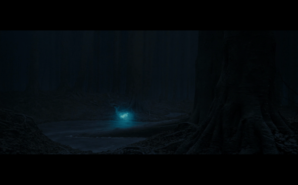 Harry Potter and the Deathly Hallows Part 1 - 884