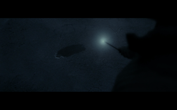 Harry Potter and the Deathly Hallows Part 1 - 891