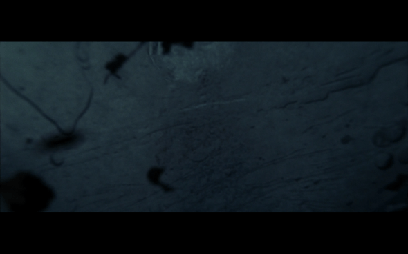 Harry Potter and the Deathly Hallows Part 1 - 904