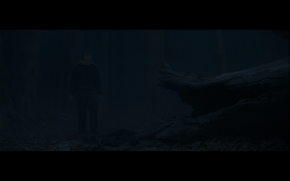 Harry Potter and the Deathly Hallows Part 1 - 909