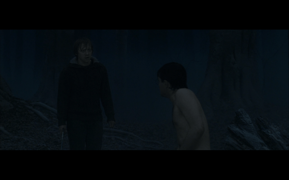 Harry Potter and the Deathly Hallows Part 1 - 910