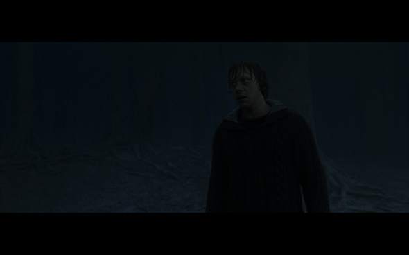 Harry Potter and the Deathly Hallows Part 1 - 912