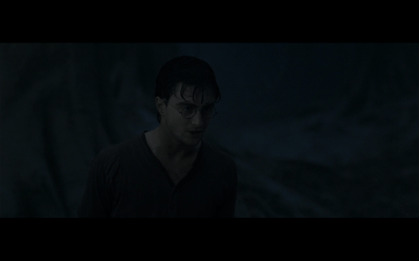 Harry Potter and the Deathly Hallows Part 1 - 914