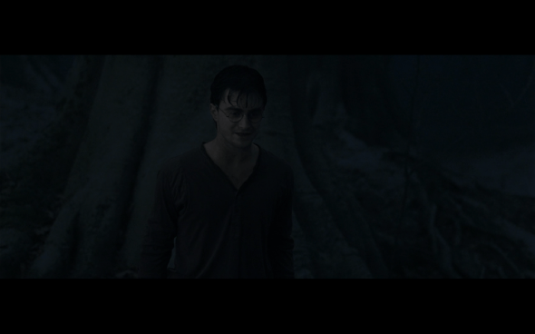 Harry Potter and the Deathly Hallows Part 1 - 917