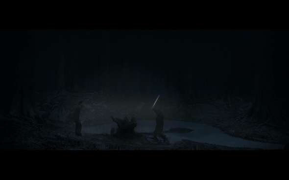 Harry Potter and the Deathly Hallows Part 1 - 919