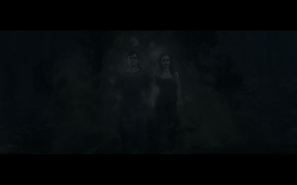 Harry Potter and the Deathly Hallows Part 1 - 927
