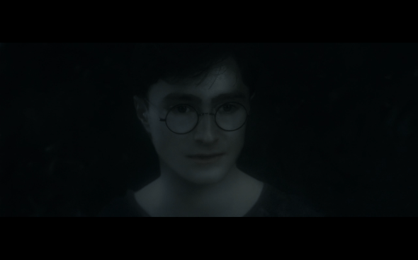 Harry Potter and the Deathly Hallows Part 1 - 928