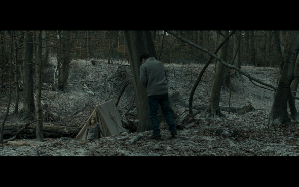 Harry Potter and the Deathly Hallows Part 1 - 942