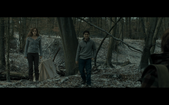 Harry Potter and the Deathly Hallows Part 1 - 943