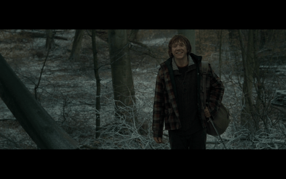 Harry Potter and the Deathly Hallows Part 1 - 944