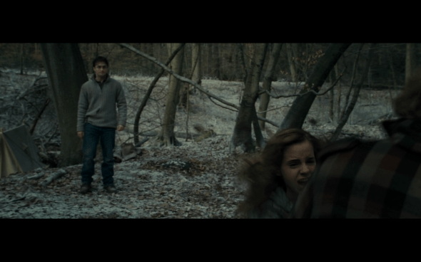 Harry Potter and the Deathly Hallows Part 1 - 947