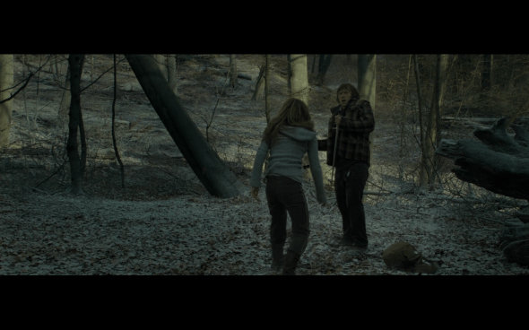 Harry Potter and the Deathly Hallows Part 1 - 948