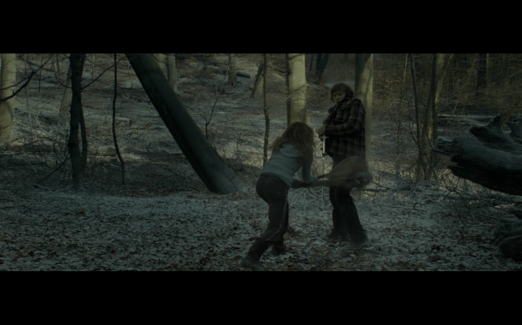 Harry Potter and the Deathly Hallows Part 1 - 949