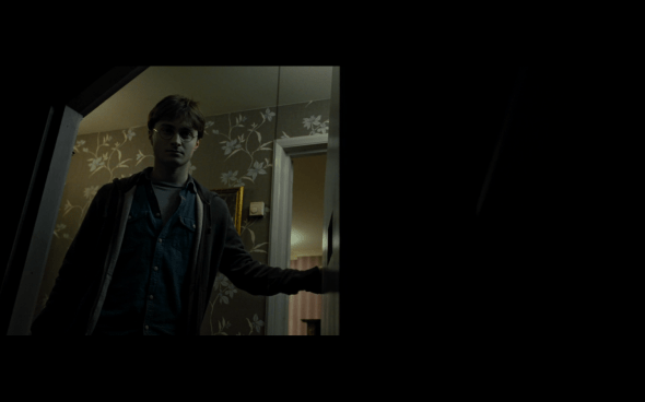 Harry Potter and the Deathly Hallows Part 1 - 95