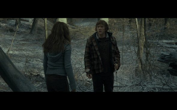 Harry Potter and the Deathly Hallows Part 1 - 951