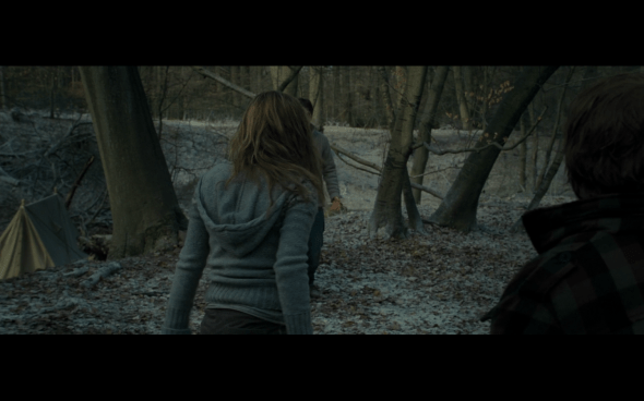 Harry Potter and the Deathly Hallows Part 1 - 952