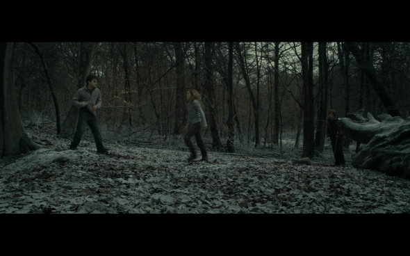 Harry Potter and the Deathly Hallows Part 1 - 953