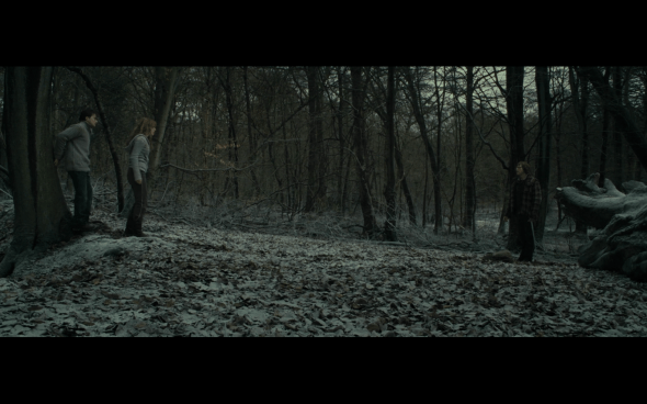 Harry Potter and the Deathly Hallows Part 1 - 955