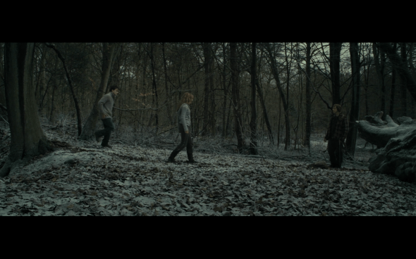 Harry Potter and the Deathly Hallows Part 1 - 956