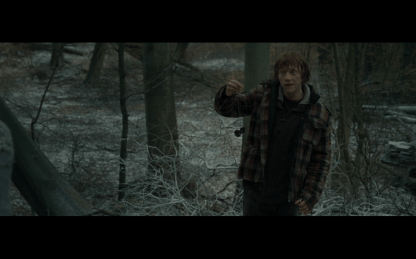 Harry Potter and the Deathly Hallows Part 1 - 957