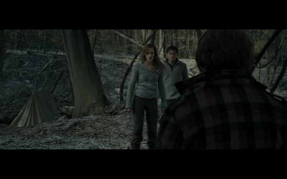 Harry Potter and the Deathly Hallows Part 1 - 958