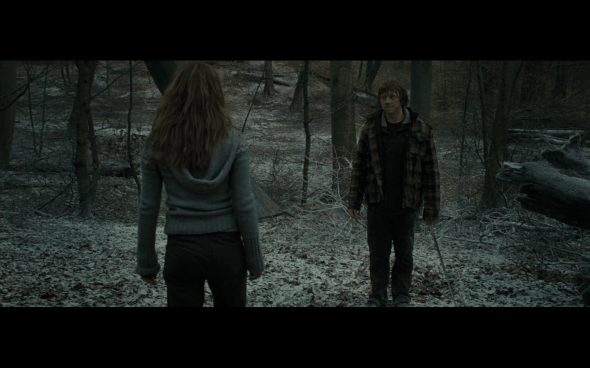 Harry Potter and the Deathly Hallows Part 1 - 959