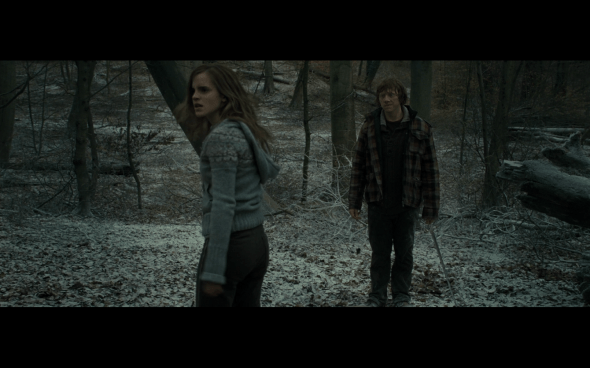 Harry Potter and the Deathly Hallows Part 1 - 960