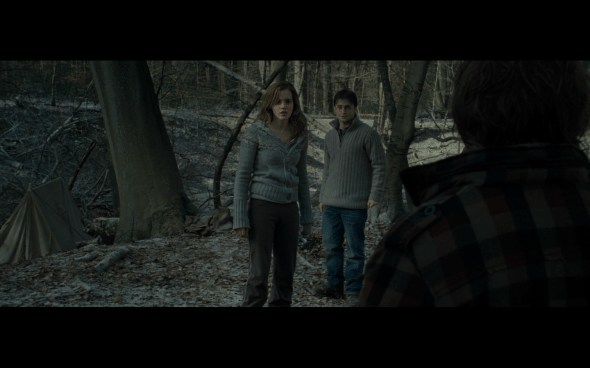 Harry Potter and the Deathly Hallows Part 1 - 961