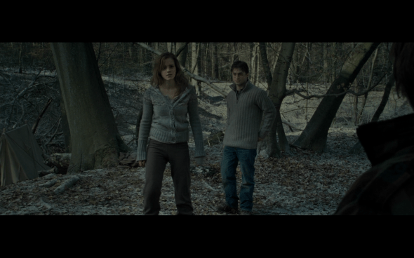 Harry Potter and the Deathly Hallows Part 1 - 962