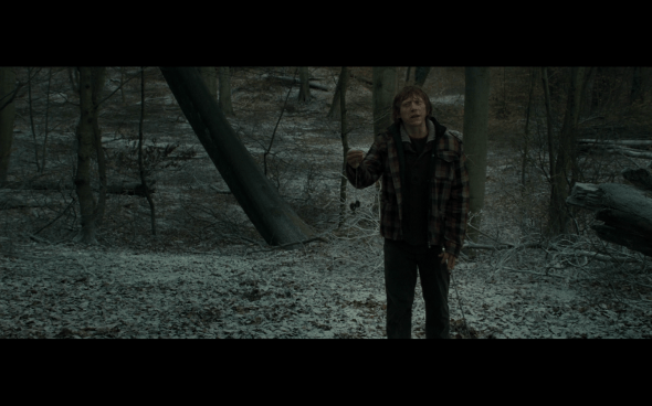 Harry Potter and the Deathly Hallows Part 1 - 963