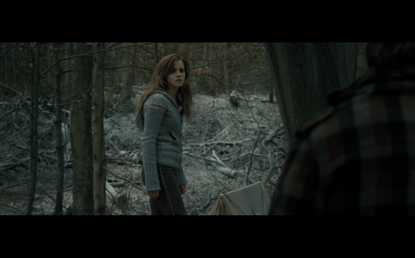 Harry Potter and the Deathly Hallows Part 1 - 964