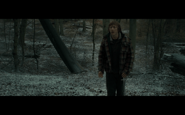 Harry Potter and the Deathly Hallows Part 1 - 965