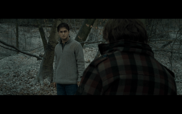 Harry Potter and the Deathly Hallows Part 1 - 965a